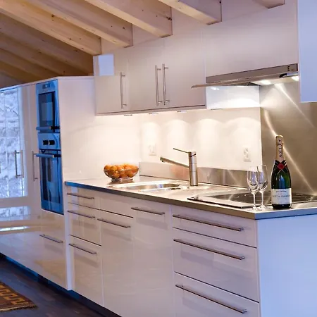 Chalet Altesse - Premium Apartments Zermatt Extérieur photo